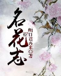 名花志小說封面